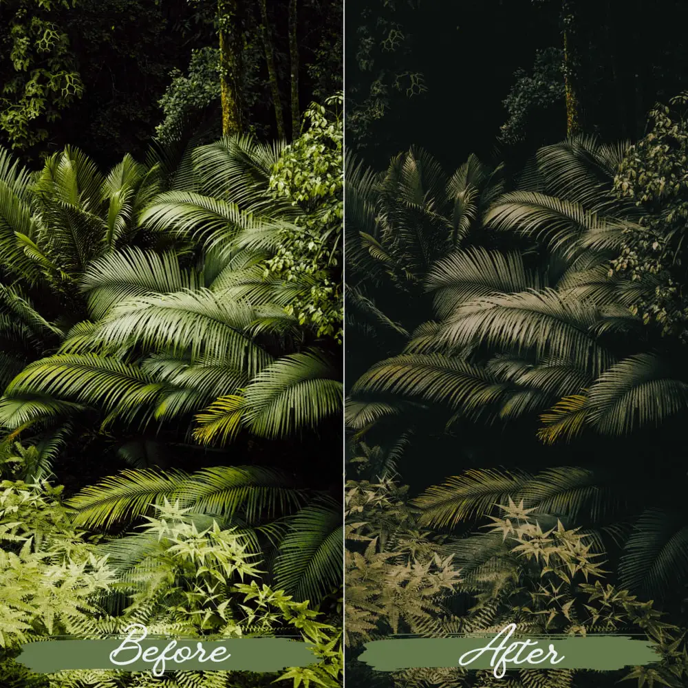 价值$25 柔和绿色调电影人像滤镜 Soft Green Lightroom 调色预设 [10款/xmp+dng]