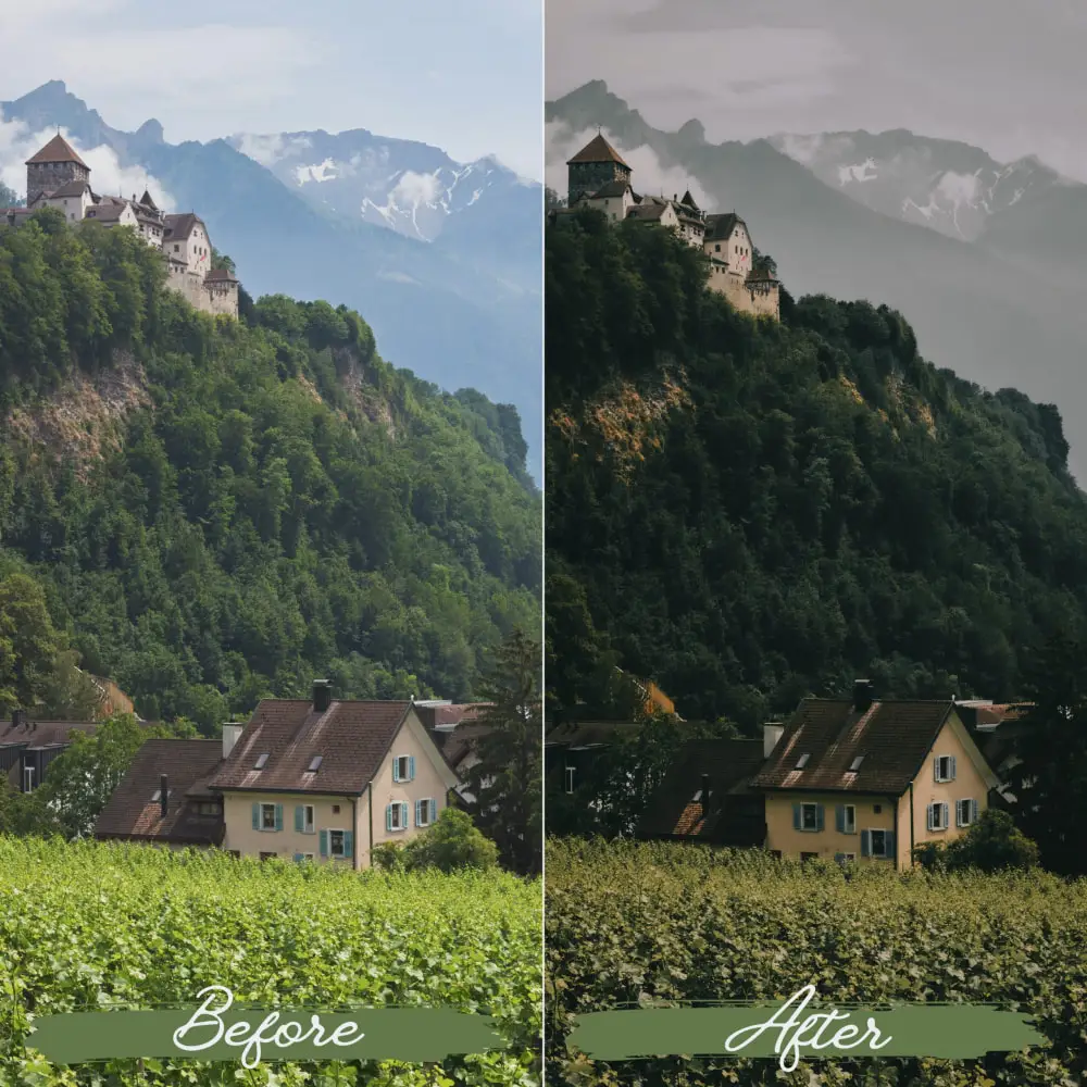 价值$25 柔和绿色调电影人像滤镜 Soft Green Lightroom 调色预设 [10款/xmp+dng]