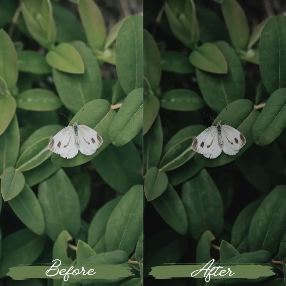 价值$25 柔和绿色调电影人像滤镜 Soft Green Lightroom 调色预设 [10款/xmp+dng]