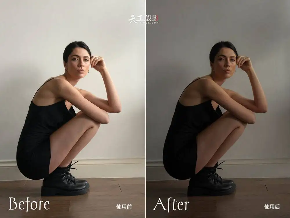 暗黑审美风格预设 Lightroom Dark Aesthetic Influencer Lightroom Presets-Lig [10款/xmp+dng]