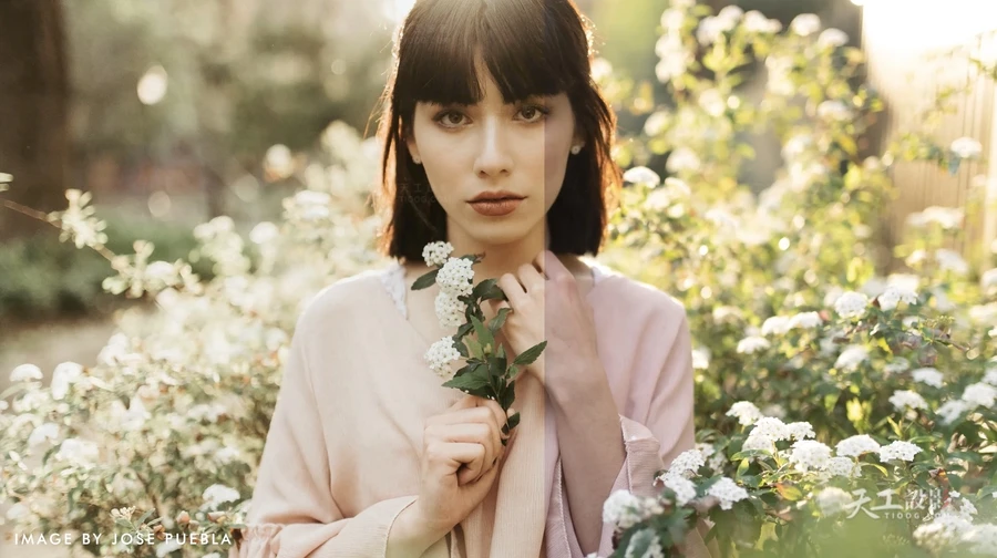 价值$12美元 30款智能修肤磨皮部落群岛-AI人工智能人像中文LR预设 Archipelago-Ai Portrait Toolset-Lightroom [30款/xmp]