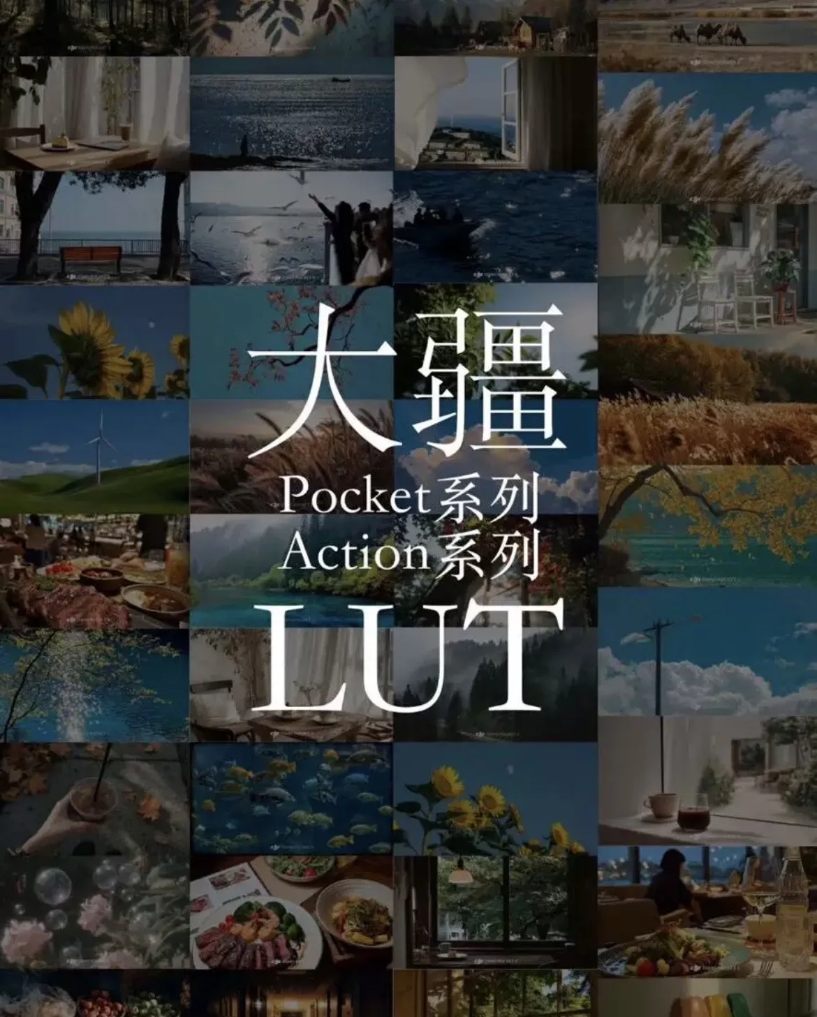 33款大疆Poctet/Action系列Lut合集